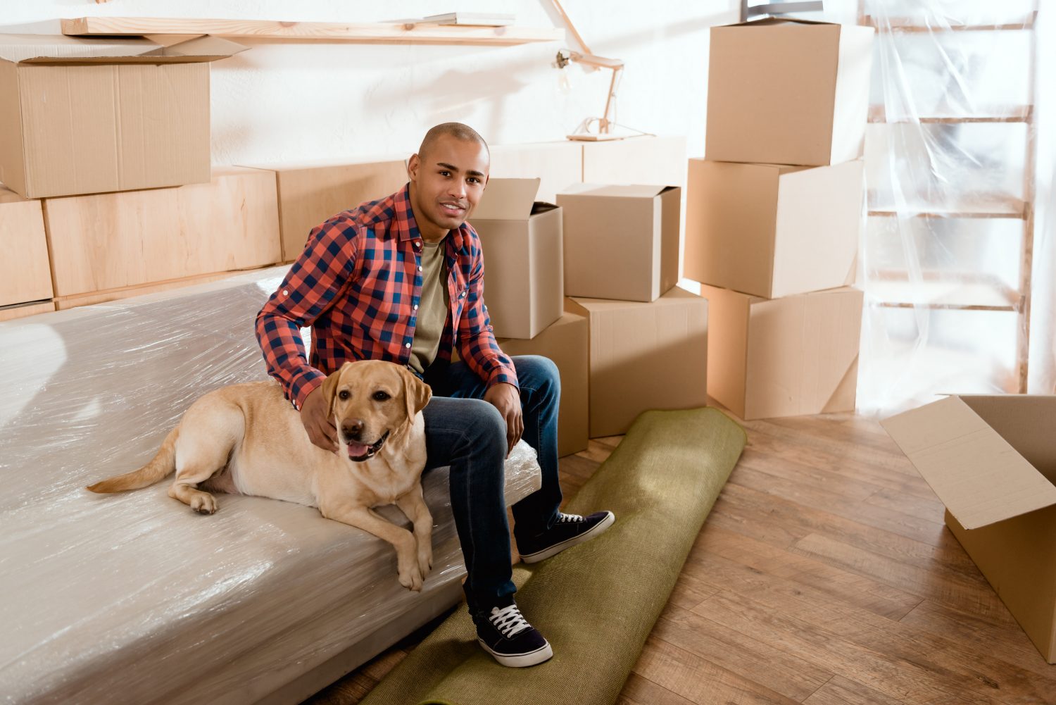 A yellow lab on a couch with their human