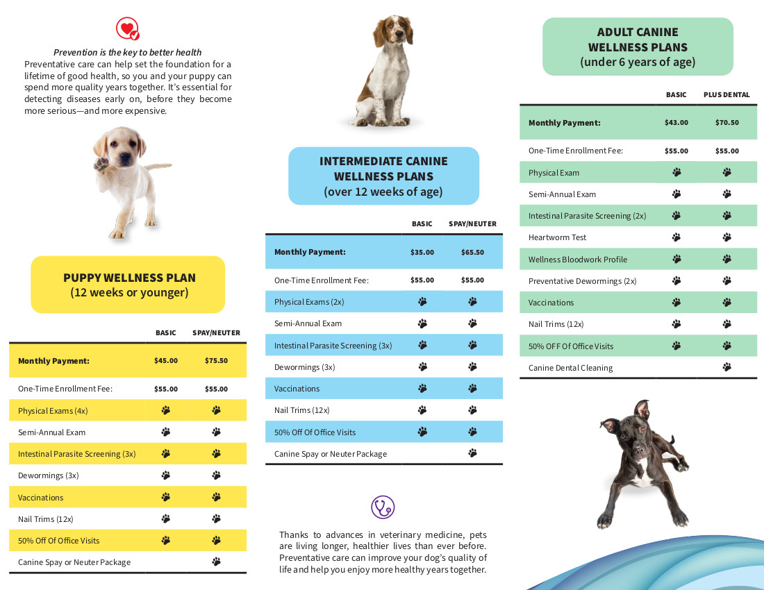 Canine Wellness Plans