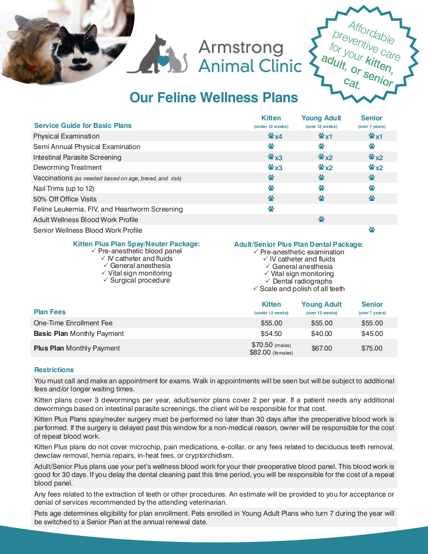 Feline Wellness Plans