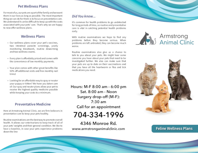 Feline Wellness Plans