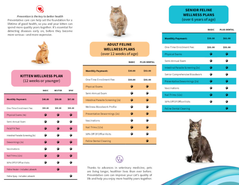 Feline Wellness Plans